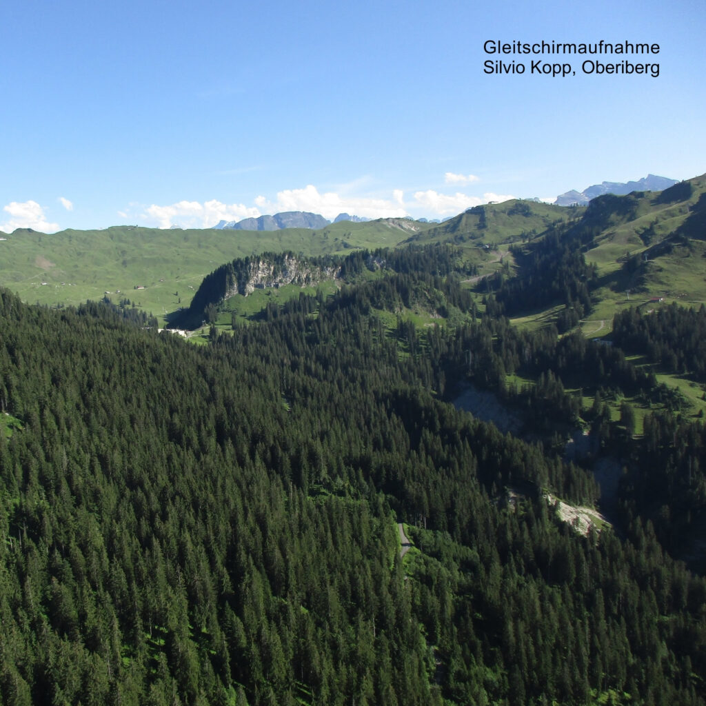 Ergiebige Wälder in der Region Oberiberg